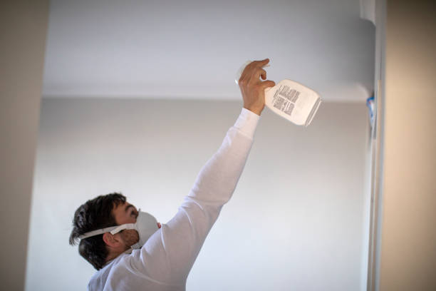 Best Black Mold Remediation in Truth Or Consequences, NM